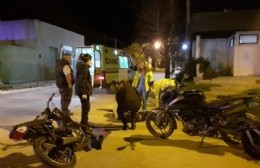 Violento choque entre dos motos: un herido