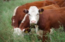 El diputado Santiago pide “regular el contrato agrario al pastaje de animales”