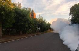 Siguen fumigando en la ciudad